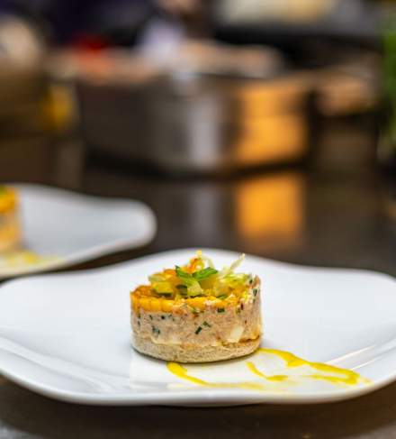Assiette gastronomique présentée avec un tartare ou médaillon finement dressé, décoré d’un filet de sauce.
