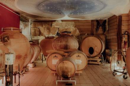 Cave traditionnelle avec grands fûts en bois disposés sur palettes et plafond décoré d’une fresque étoilée – Fayet Hospitality
