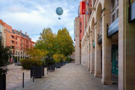 ibis_epernay