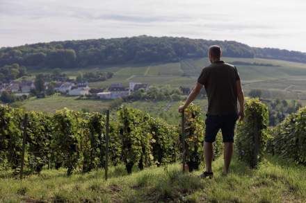 Personne debout dans un vignoble verdoyant observant les collines et les maisons au loin, cadre naturel et authentique – Fayet Hospitality