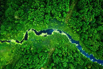 Vue aérienne d’une rivière sinueuse traversant une forêt dense et verdoyante.