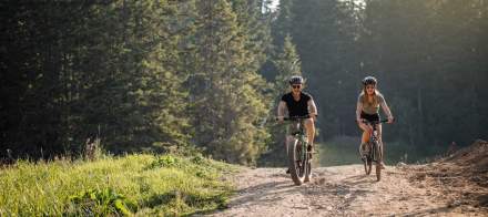 Cycliste sur un chemin forestier en VTT, entouré de pins et lumière naturelle – Fayet Hospitality