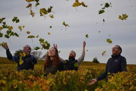 Groupe de personnes dans un vignoble automnal lançant des feuilles en l’air, rangées de vignes aux couleurs dorées – Fayet Hospitality