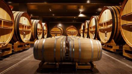 Grande cave à vin avec rangées de foudres en bois et tonneaux alignés sur sol en pierre sombre, éclairage chaleureux – Fayet Hospitality