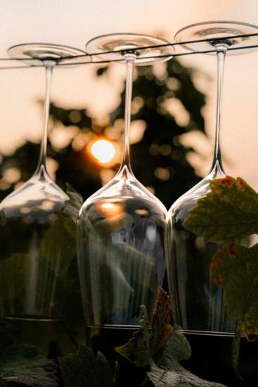 Trois verres à pied retournés alignés sur un support, avec feuilles de vigne au premier plan et coucher de soleil en arrière-plan – Fayet Hospitality
